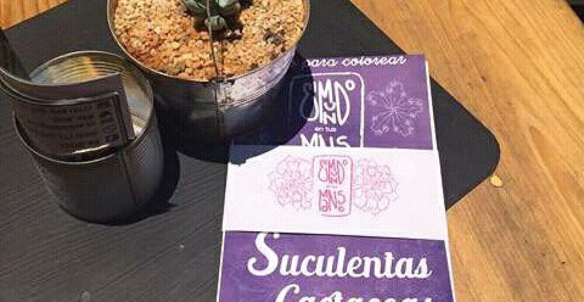19756738_838185946345463_1940918573097088887_n