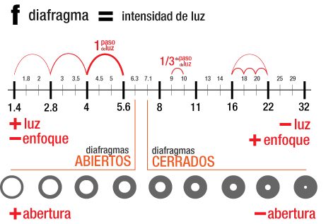 Esencia revelada en imágenes