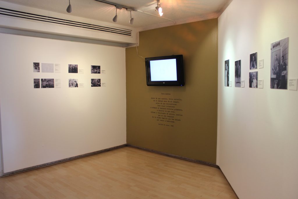 Galeria Leo A1