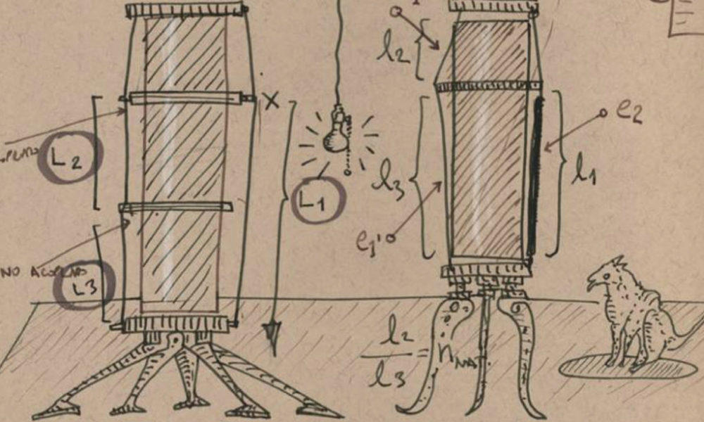 boceto holoturian