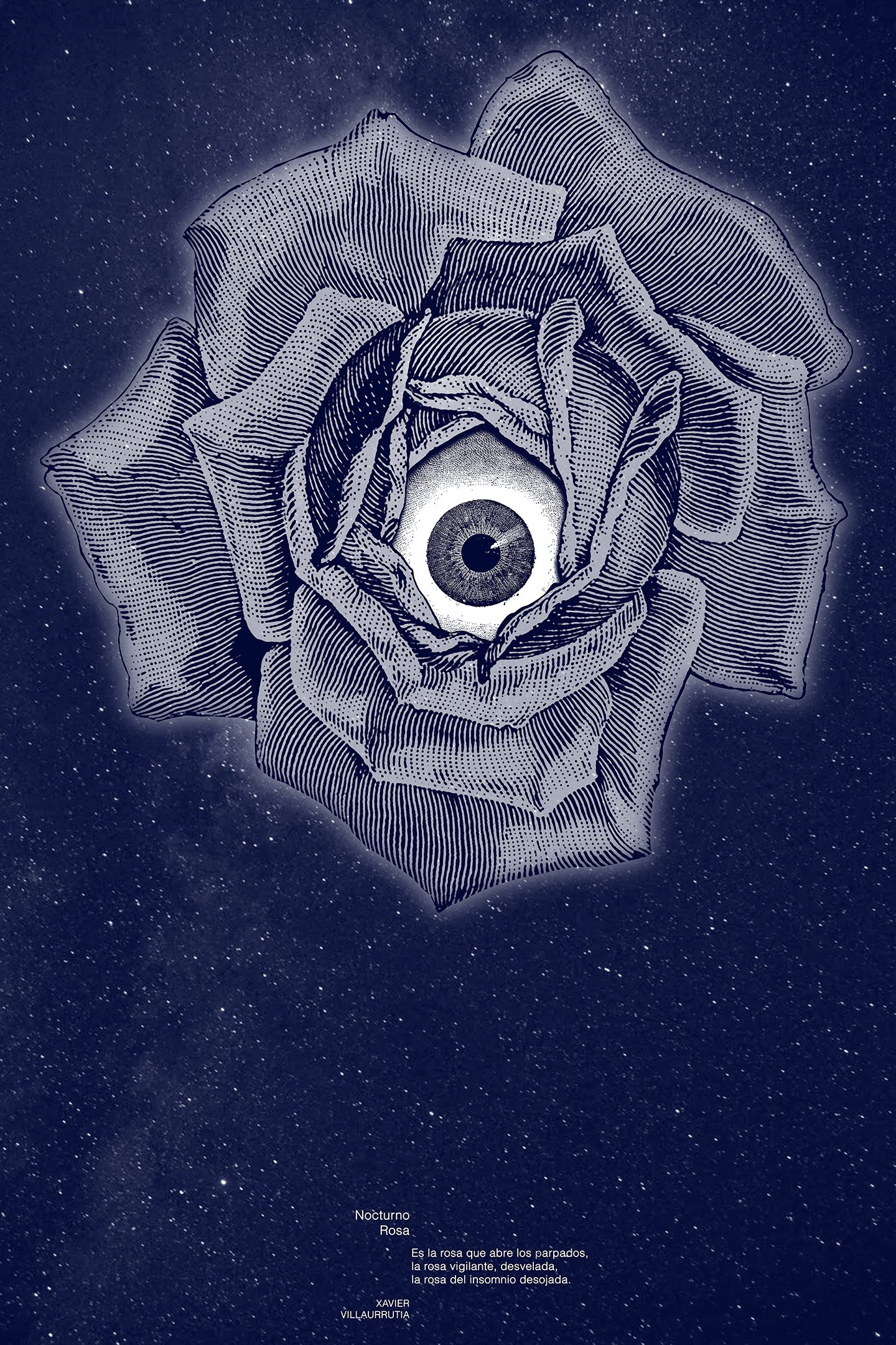 Nocturno Rosa - Xavier Villaurrutia