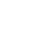 PRESI 300