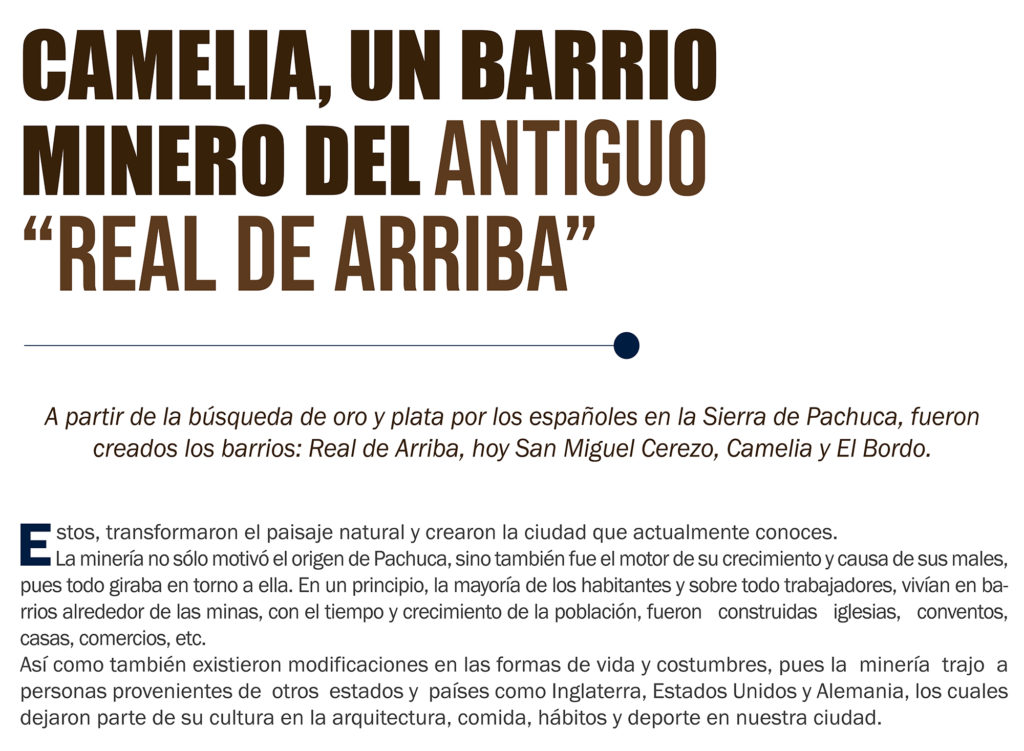 CAMELIA BARRIO MINERO 02 2