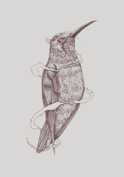 COLIBRI_ILUSTRACIÓNDIGITAL_2019