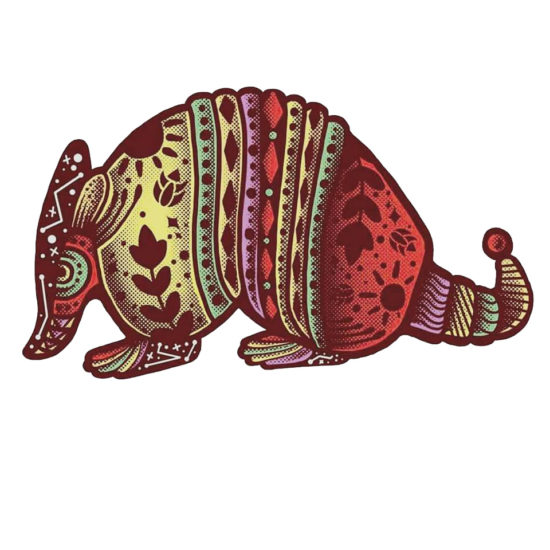 2ARMADILLO_ILUSTRACIONDIGITAL_2018