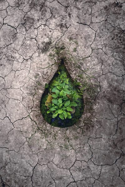 Una gota