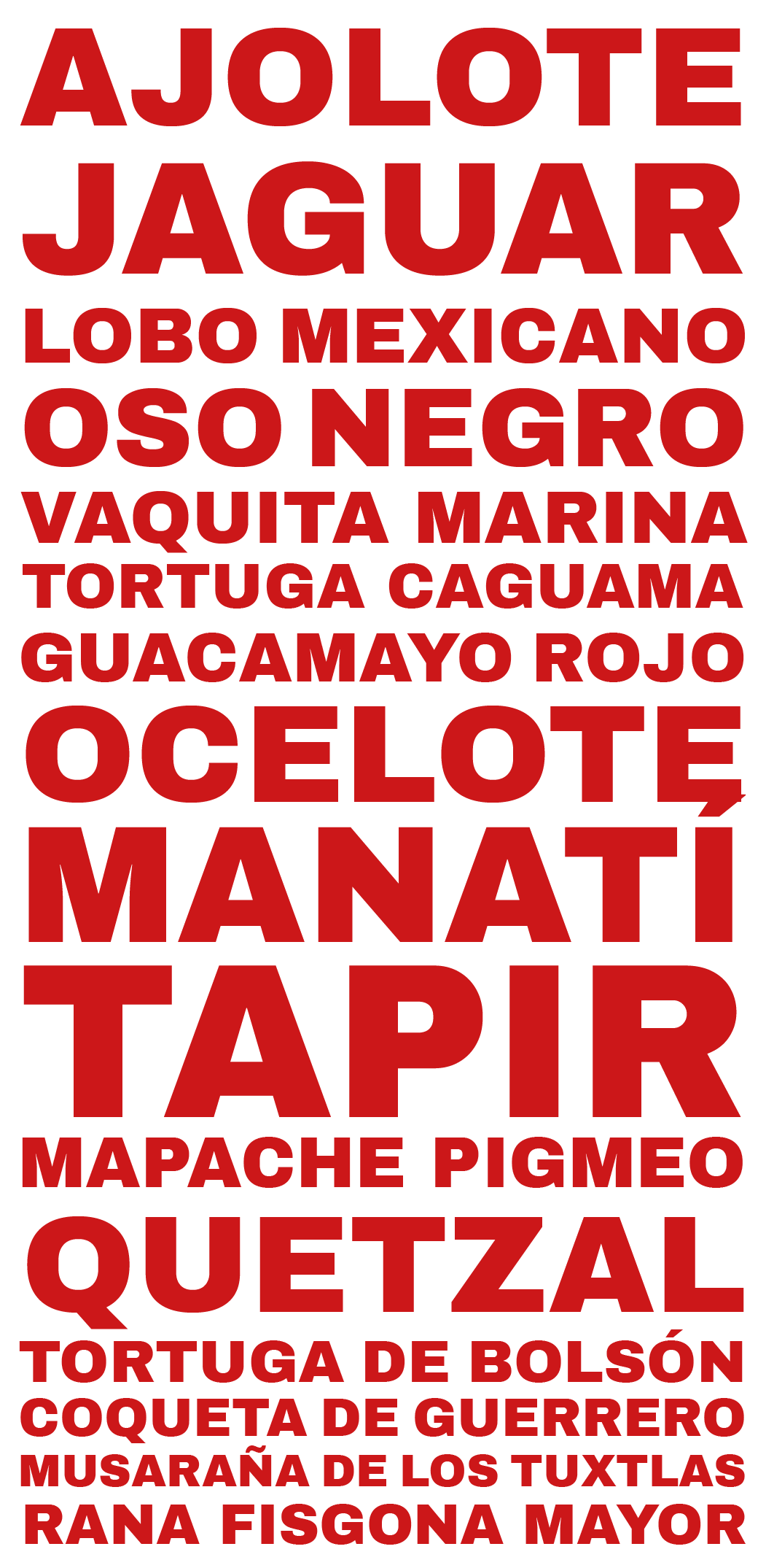 gamboa3