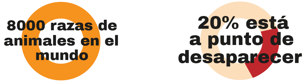 porcentaje