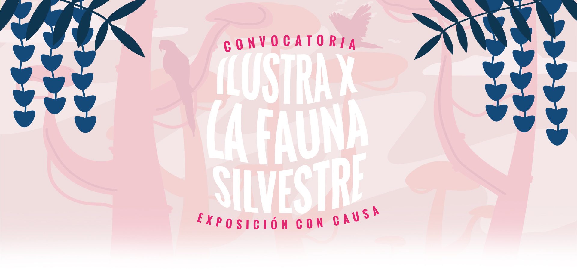 pagina arriba