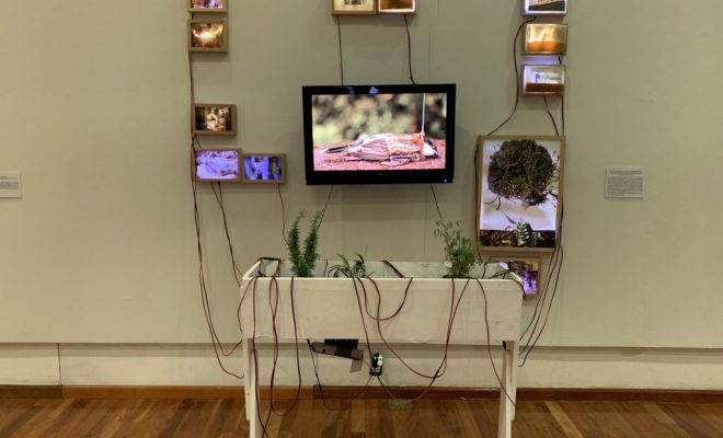 Exposiciones en Pachuca marzo 2022