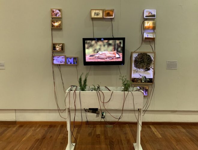 Exposiciones en Pachuca marzo 2022