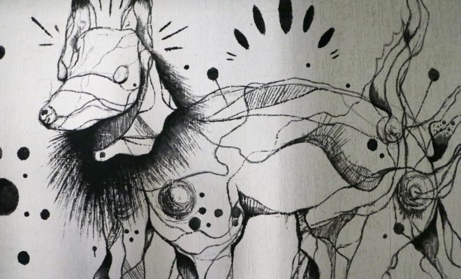 zoo art