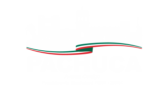 Logo_Pachuca