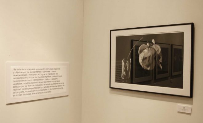 Exposición de septiembre 3
